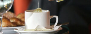 Lee más sobre el artículo Un componente, polifenol, del té verde tiene efecto analgésico